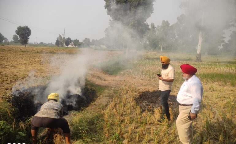 ਐਸ. ਡੀ. ਐਮ ਗੁਰਦਾਸਪੁਰ ਨੇ ਪਿੰਡ ਬੱਬੇਹਾਲੀ ਵਿਖੇ ਪਰਾਲੀ ਦੇ ਫੂਸ ਨੂੰ ਲੱਗੀ ਅੱਗ, ਖੁਦ ਜਾ ਕੇ ਬੁਝਾਈ