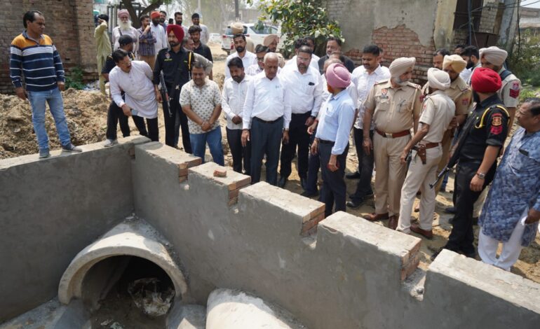 ਰਾਜਸਥਾਨ ਨੂੰ ਫੌਜ ਲਈ ਪਾਣੀ ਦੇਣ ਦਾ ਫ਼ੈਸਲਾ ਕੌਮੀ ਹਿੱਤ ‘ਚ: ਬਰਿੰਦਰ ਕੁਮਾਰ ਗੋਇਲ