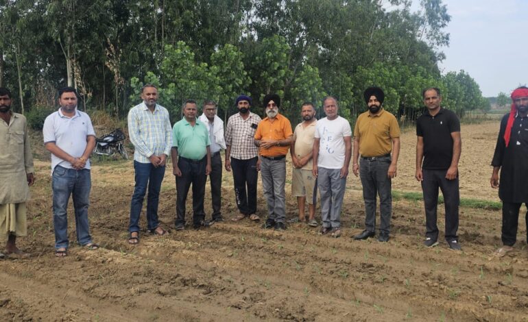 ਬਰਸਾਤੀ ਮੱਕੀ ਦੀ ਬਿਜਾਈ 30 ਜੂਨ ਤੱਕ ਕੀਤੀ ਜਾ ਸਕਦੀ ਹੈ : ਮੁੱਖ ਖੇਤੀਬਾੜੀ ਅਫ਼ਸਰ