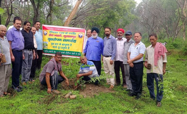 ਸੇਵਾ ਭਾਰਤੀ ਵੱਲੋਂ ਕਥਲੋਰ ਵਾਈਲਡ ਲਾਈਫ ਸੈਂਕਚੁਅਰੀ ਵਿੱਚ ਵ੍ਰਿਖਾਰੋਪਣ ਪ੍ਰੋਗਰਾਮ