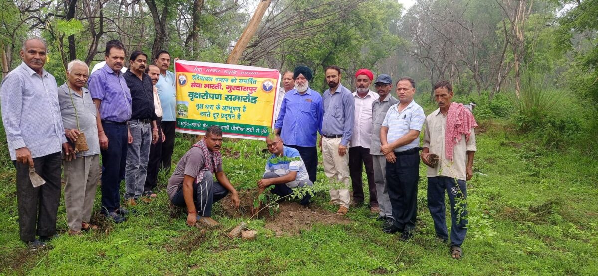 ਸੇਵਾ ਭਾਰਤੀ ਵੱਲੋਂ ਕਥਲੋਰ ਵਾਈਲਡ ਲਾਈਫ ਸੈਂਕਚੁਅਰੀ ਵਿੱਚ ਵ੍ਰਿਖਾਰੋਪਣ ਪ੍ਰੋਗਰਾਮ