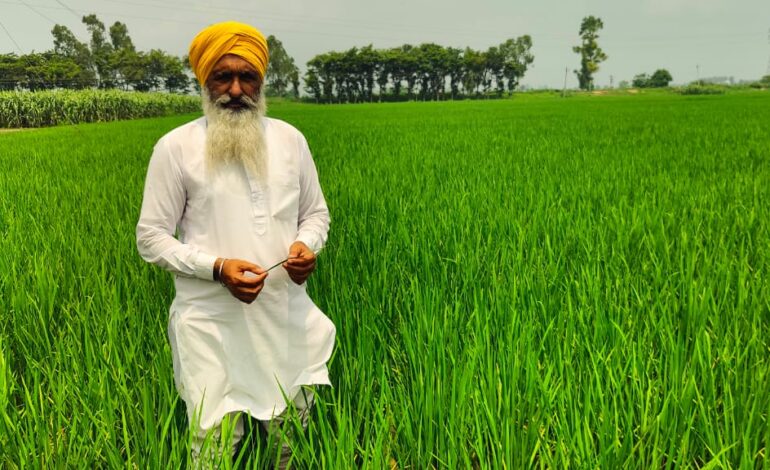 10 ਸਾਲ ਤੋਂ ਝੋਨੇ ਦੀ ਪਰਾਲੀ ਖੇਤਾਂ ਵਿਚ ਸੰਭਾਲ ਕੇ ਹੈਪੀ ਸੀਡਰ, ਸਰਫੇਸ ਸੀਡਰ ਨਾਲ ਕਣਕ ਦੀ ਬਿਜਾਈ ਕਰ ਰਿਹਾ ਉੱਦਮੀ ਕਿਸਾਨ ਪਲਵਿੰਦਰ ਸਿੰਘ