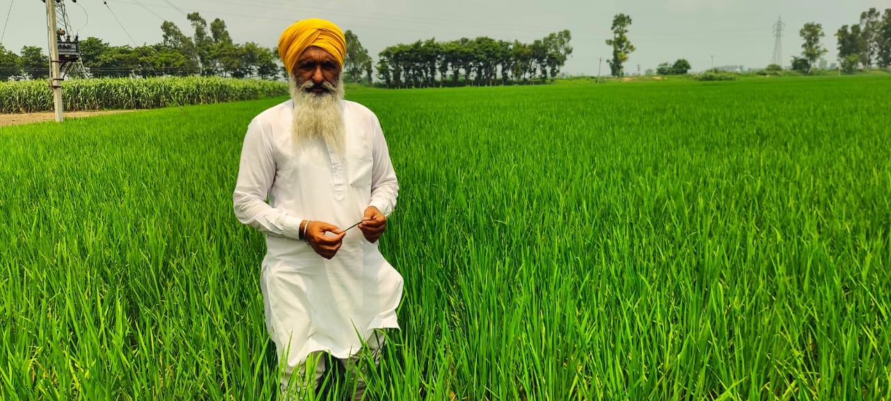 10 ਸਾਲ ਤੋਂ ਝੋਨੇ ਦੀ ਪਰਾਲੀ ਖੇਤਾਂ ਵਿਚ ਸੰਭਾਲ ਕੇ ਹੈਪੀ ਸੀਡਰ, ਸਰਫੇਸ ਸੀਡਰ ਨਾਲ ਕਣਕ ਦੀ ਬਿਜਾਈ ਕਰ ਰਿਹਾ ਉੱਦਮੀ ਕਿਸਾਨ ਪਲਵਿੰਦਰ ਸਿੰਘ