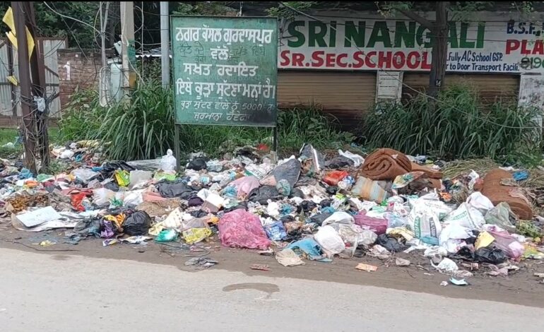 ਸਵੱਛਤਾ ਸਰਵੇਖਣ 2024-25: ਨਾਲਾਇਕਾਂ ਦੀ ਸੂਚੀ ਵਿੱਚ ਗੁਰਦਾਸਪੁਰ ਸਭ ਤੋਂ ਅੱਗੇ, ਸਮਾਰਟ ਦੀ ਸੂਚੀ ਵਿੱਚ ਅੱਵਲ ਰਿਹਾ ਬਠਿੰਡਾ