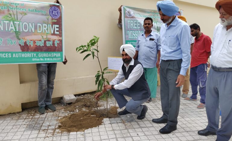 ਜ਼ਿਲ੍ਹਾ ਕਚਹਿਰੀਆਂ, ਗੁਰਦਾਸਪੁਰ ਵਿਖੇ ਸਮੂਹ ਜੁਡੀਸ਼ੀਅਲ ਜੱਜ ਸਹਿਬਾਨਾਂ ਨੇ ਮਿਸ਼ਨ ਇੱਕ ਜੱਜ ਇੱਕ ਰੁੱਖ ਤਹਿਤ ਪੌਦੇ ਲਗਾਏ