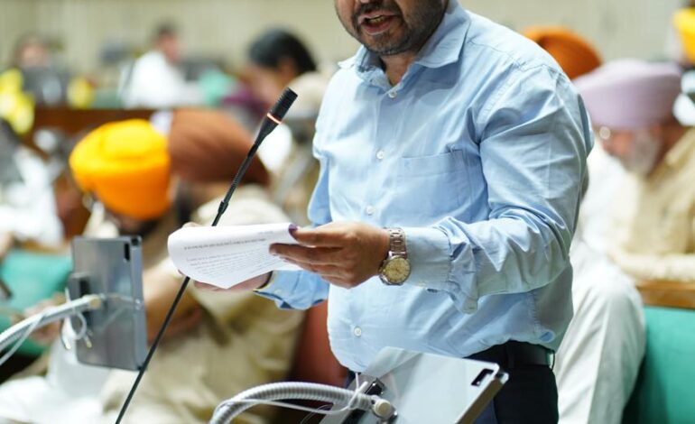 ਪੰਜਾਬ ਸਰਕਾਰ ਬਹੁ-ਪੱਖੀ ਪਹੁੰਚ ਅਪਣਾਉਂਦਿਆਂ ਅਵਾਰਾ ਪਸ਼ੂਆਂ ਦੇ ਹੱਲ ਲਈ ਵਿਆਪਕ ਰਣਨੀਤੀ ਬਣਾਏਗੀ: ਡਾ. ਰਵਜੋਤ ਸਿੰਘ