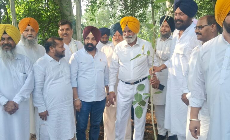 ਅਕਾਲੀ ਦਲ ਦੇ ਸੀਨੀਅਰ ਮੀਤ ਪ੍ਰਧਾਨ ਗੁਰਬਚਨ ਸਿੰਘ ਬੱਬੇਹਾਲੀ ਵੱਲੋਂ ਬੂਟਾ ਲਗਾਉਣ ਦੀ ਮੁਹਿੰਮ ਦਾ ਕੀਤਾ ਗਿਆ ਆਗਾਜ਼