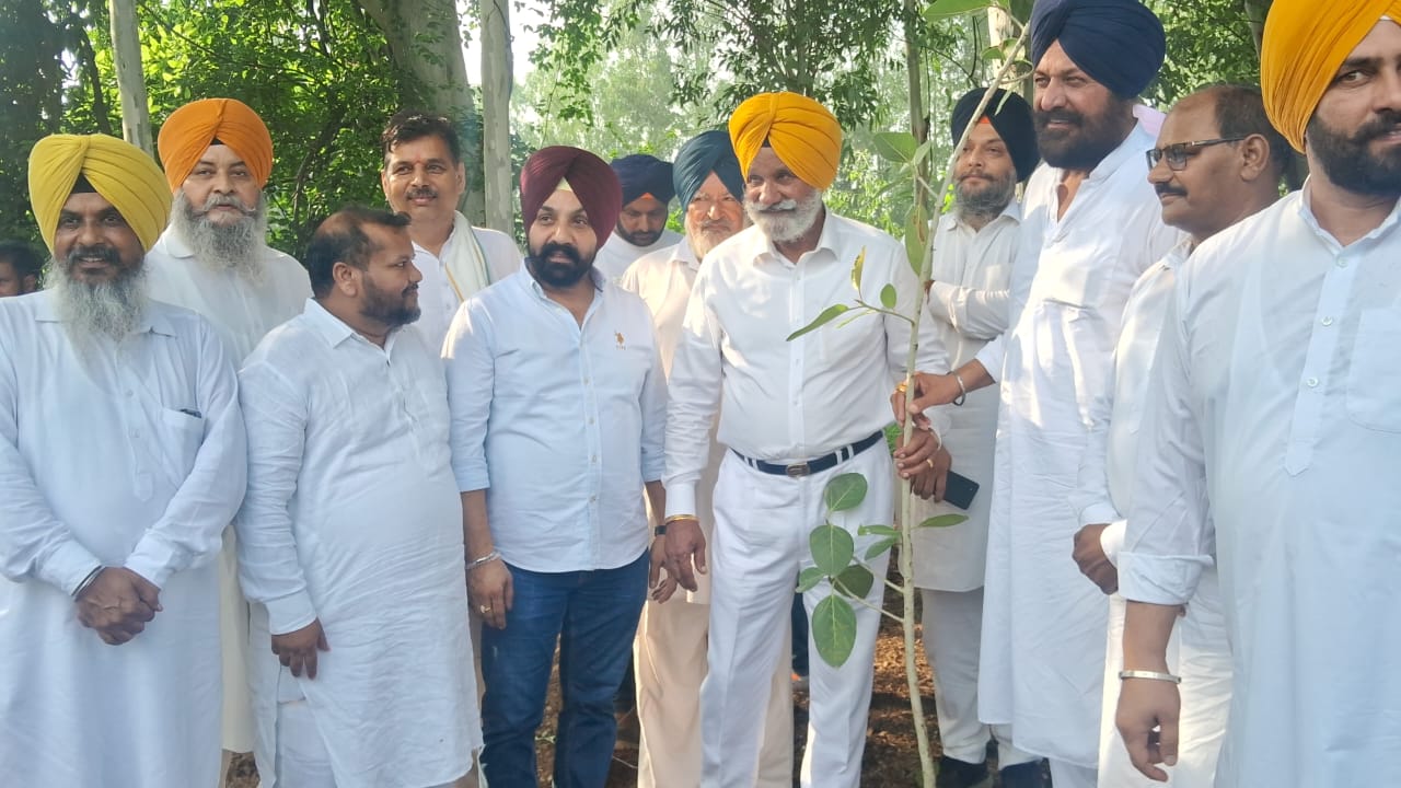 ਅਕਾਲੀ ਦਲ ਦੇ ਸੀਨੀਅਰ ਮੀਤ ਪ੍ਰਧਾਨ ਗੁਰਬਚਨ ਸਿੰਘ ਬੱਬੇਹਾਲੀ ਵੱਲੋਂ ਬੂਟਾ ਲਗਾਉਣ ਦੀ ਮੁਹਿੰਮ ਦਾ ਕੀਤਾ ਗਿਆ ਆਗਾਜ਼