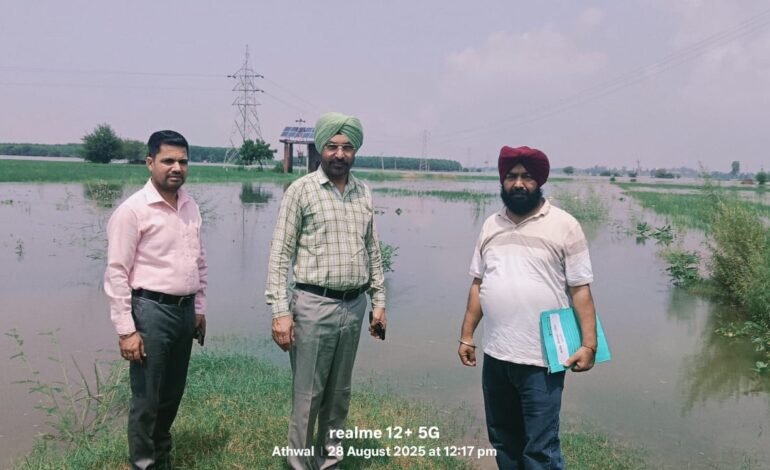 ਹੜ੍ਹ ਪ੍ਰਭਾਵਿਤ ਖੇਤਰਾਂ ਦਾ ਸਿਵਲ ਸਰਜਨ ਡਾ. ਜਸਵਿੰਦਰ ਸਿੰਘ ਵੱਲੋਂ ਦੌਰਾ, ਬਿਮਾਰੀਆਂ ਤੋਂ ਬਚਾਅ ਲਈ ਪ੍ਰਬੰਧ ਮਜ਼ਬੂਤ ਕਰਨ ਦੇ ਨਿਰਦੇਸ਼, ਭਾਮ ਵਿੱਖੇ ਲੱਗਾ ਮੈਡਿਕਲ ਕੈਂਪ