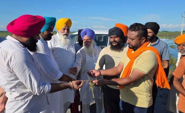 ਵਿਧਾਇਕ ਗੁਰਦੀਪ ਸਿੰਘ ਰੰਧਾਵਾ ਨੇ ਹਲਕੇ ਦੇ ਪਿੰਡ ਜੀਉਜਲਾਹੀ ਤੇ ਸ਼ਾਲੇਚੱਕ ਵਿਖੇ ਹੜ੍ਹਾਂ ਕਾਰਨ ਖ਼ਰਾਬ ਹੋਈਆਂ ਫ਼ਸਲਾਂ ਦਾ ਜਾਇਜ਼ਾ ਲਿਆ