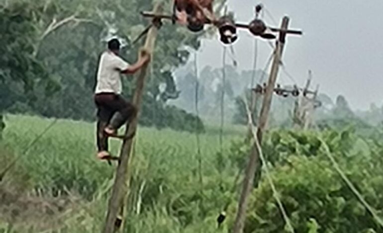 ਪੰਜਾਬ ਸਰਕਾਰ ਦੀਆਂ ਹਦਾਇਤਾਂ ਤਹਿਤ ਜ਼ਿਲ੍ਹਾ ਪ੍ਰਸ਼ਾਸਨ ਵੱਲੋਂ ਹੜ੍ਹ ਪ੍ਰਭਾਵਿਤ ਖੇਤਰਾਂ ਵਿੱਚ ਰਾਹਤ ਤੇ ਪੁਨਰਵਾਸ ਕਾਰਜ ਜਾਰੀ