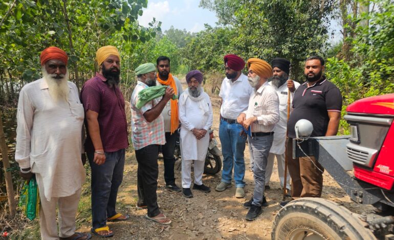 ਹੜ੍ਹ ਨਾਲ ਪ੍ਰਭਾਵਤ ਕਿਸਾਨਾਂ ਨੂੰ ਤੇਲ ਬੀਜ ਫ਼ਸਲਾਂ ਦਾ ਬੀਜ ਪਹਿਲ ਦੇ ਅਧਾਰ ਤੇ ਦਿੱਤਾ ਜਾਵੇਗਾ: ਮੁੱਖ ਖੇਤੀਬਾੜੀ ਅਫ਼ਸਰ