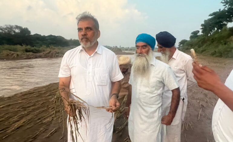 ਅਗਲੇ ਸੀਜ਼ਨ ‘ਚ ਫ਼ਸਲ ਪੈਦਾ ਕਰਨ ਯੋਗ ਨਹੀਂ ਰਹੇ ਕਿਸਾਨ : ਐਨ.ਕੇ. ਸ਼ਰਮਾ