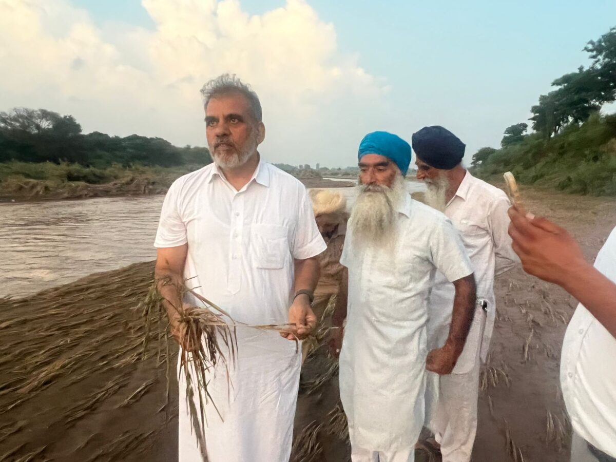 ਅਗਲੇ ਸੀਜ਼ਨ ‘ਚ ਫ਼ਸਲ ਪੈਦਾ ਕਰਨ ਯੋਗ ਨਹੀਂ ਰਹੇ ਕਿਸਾਨ : ਐਨ.ਕੇ. ਸ਼ਰਮਾ