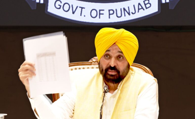 ਹੜ੍ਹ ਪ੍ਰਭਾਵਿਤ ਪਿੰਡ 10 ਦਿਨਾਂ ਵਿੱਚ ਗਾਰ ਤੇ ਮਲਬੇ ਤੋਂ ਮੁਕਤ ਹੋਣਗੇ- ਮੁੱਖ ਮੰਤਰੀ