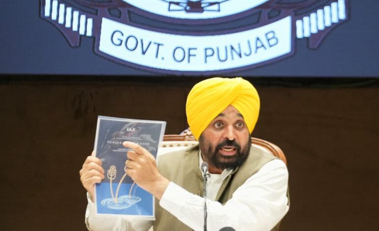 ਮੋਦੀ ਸਰਕਾਰ ਨੇ ਪਾਕਿਸਤਾਨ ਦੇ ਪਵਿੱਤਰ ਅਸਥਾਨਾਂ ਦੇ ਦਰਸ਼ਨਾਂ ਦੀ ਇਜਾਜ਼ਤ ਨਾ ਦੇ ਕੇ ਸਿੱਖਾਂ ਦੀ ਮਾਨਸਿਕਤਾ ਨੂੰ ਡੂੰਘੀ ਠੇਸ ਪਹੁੰਚਾਈ- ਮੁੱਖ ਮੰਤਰੀ