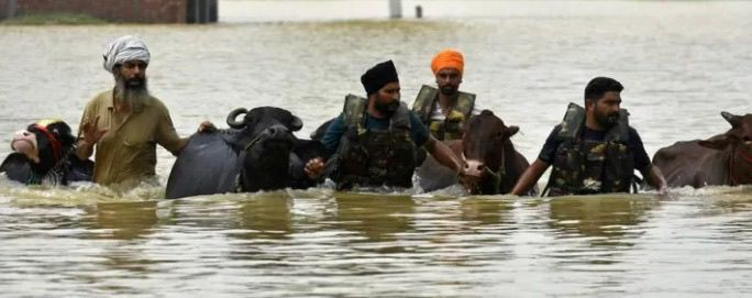 ਪੰਜਾਬ ਸਰਕਾਰ ਬਣੀ ਪਸ਼ੂਆਂ ਦੀ ਸੱਚੀ ਰੱਖਿਅਕ! ਸਿਰਫ਼ ਇੱਕ ਹਫ਼ਤੇ ਵਿੱਚ 1.75 ਲੱਖ ਤੋਂ ਵੱਧ ਪਸ਼ੂਆਂ ਨੂੰ ‘ਗਲ-ਘੋਟੂ’ ਤੋਂ ਬਚਾਇਆ