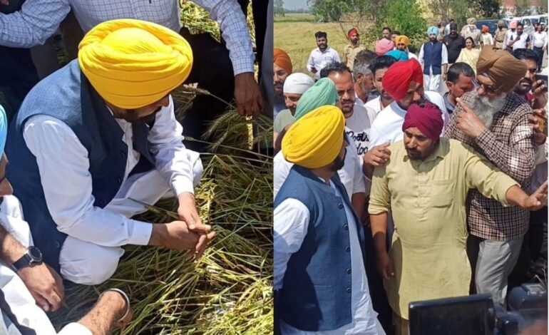 ਮੁੱਖ ਮੰਤਰੀ ਮਾਨ ਦਾ ਵਾਅਦਾ! ਵਿਸ਼ੇਸ਼ ਗਿਰਦਾਵਰੀ ਨਾਲ ਮਿਲੇਗਾ ਹਰ ਕਿਸਾਨ ਨੂੰ ਨੁਕਸਾਨ ਦਾ ਮੁਆਵਜ਼ਾ
