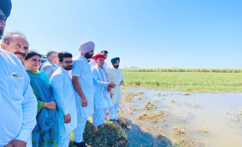 ਕੇਂਦਰੀ ਰਾਜ ਮੰਤਰੀ ਭਾਗੀਰਥ ਚੌਧਰੀ ਵੱਲੋਂ ਦੀਨਾਨਗਰ ਹਲਕੇ ਦੇ ਹੜ੍ਹ ਪ੍ਰਭਾਵਿਤ ਇਲਾਕਿਆਂ ਦਾ ਦੌਰਾ