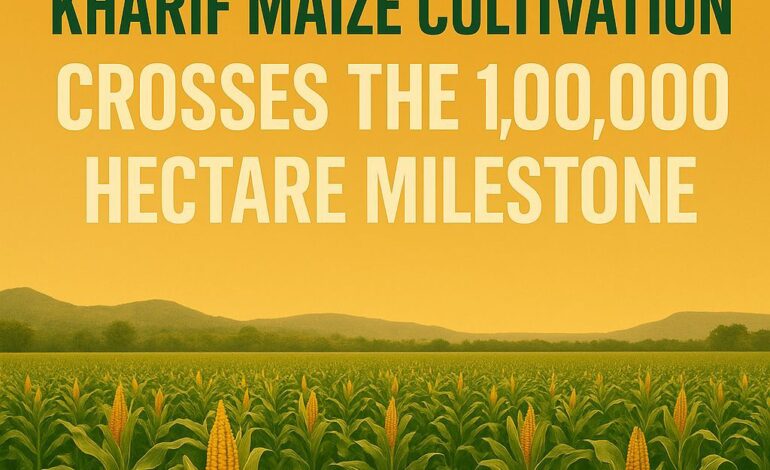 ਪੰਜਾਬ ਦੇ ਖੇਤਾਂ ’ਚ ਨਵੀਂ ਲਹਿਰ,ਮਾਨ ਸਰਕਾਰ ਦੀ ਕੋਸ਼ਿਸ਼ ਨਾਲ ਕਿਸਾਨਾਂ ਨੇ ਮੱਕੀ ਵੱਲ ਵਧਾਇਆ ਰੁਝਾਨ