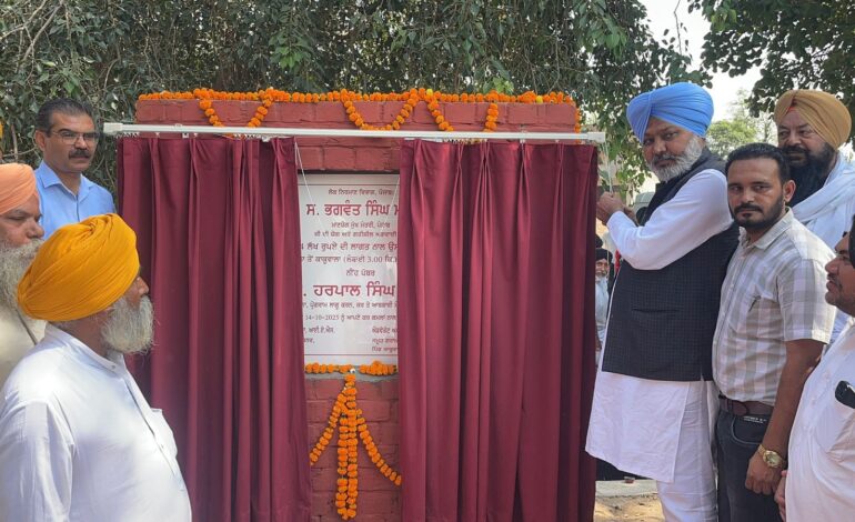 ਪੰਜਾਬ ਨੂੰ ਹੜ੍ਹਾਂ ਦੀ ਮਾਰ ਤੋਂ ਬਚਾਉਣ ਲਈ ਰਾਵੀ, ਸਤਲੁਜ ਅਤੇ ਬਿਆਸ ਦਰਿਆਵਾਂ ਦੀ ਕੀਤੀ ਜਾਵੇਗੀ ਸਫ਼ਾਈ: ਹਰਪਾਲ ਸਿੰਘ ਚੀਮਾ