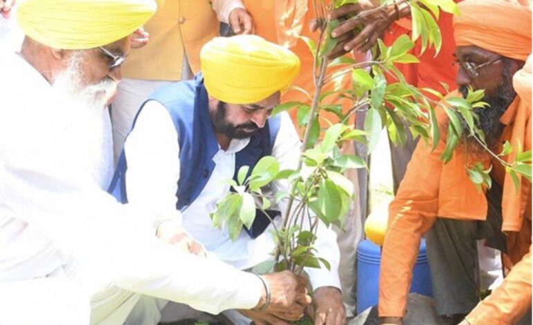 ਪਿਛਲੀਆਂ ਸਰਕਾਰਾਂ ਦੀ 20 ਸਾਲ ਦੀ ਲਾਪਰਵਾਹੀ ‘ਤੇ ਲੱਗੀ ਰੋਕ, ਆਮ ਆਦਮੀ ਪਾਰਟੀ ਸਰਕਾਰ ਨੇ ਪੰਜਾਬ ਦਾ ਟ੍ਰੀ ਕਵਰ ਵਧਾਇਆ 177.22 ਵਰਗ ਕਿਲੋਮੀਟਰ!