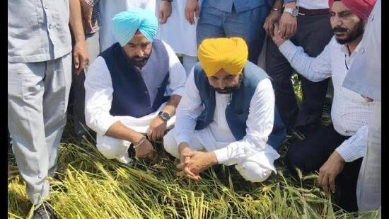 ਦਫ਼ਤਰਾਂ ਤੋਂ ਖੇਤਾਂ ਤੱਕ: ਪੰਜਾਬ ਦੇ ਮੁੱਖ ਮੰਤਰੀ ਕਿਸਾਨ-ਕੇਂਦ੍ਰਿਤ ਸ਼ਾਸਨ ਨੂੰ ਕਰ ਰਹੇ ਹਨ ਮੁੜ ਪਰਿਭਾਸ਼ਤ , ਸਮੱਸਿਆਵਾਂ ਦਾ ਕੀਤਾ ਜਾ ਰਿਹਾ ਤੁਰੰਤ ਹੱਲ