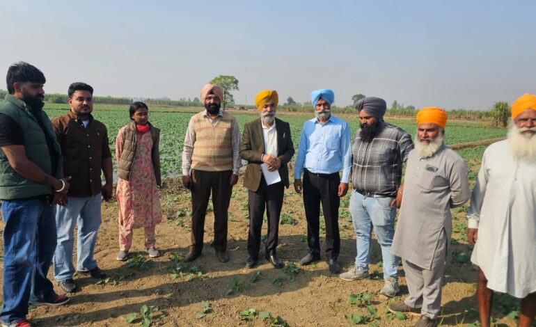 ਗੰਨੇ ਦੀ ਫ਼ਸਲ ਤੋਂ ਪ੍ਰਤੀ ਹੈਕਟੇਅਰ ਵਧੇਰੇ ਆਮਦਨ ਲੈਣ ਲਈ ਅੰਤਰ ਫ਼ਸਲੀ ਪ੍ਰਣਾਲੀ ਅਪਣਾਉਣ ਦੀ ਜ਼ਰੂਰਤ: ਕੇਨ ਕਮਿਸ਼ਨਰ