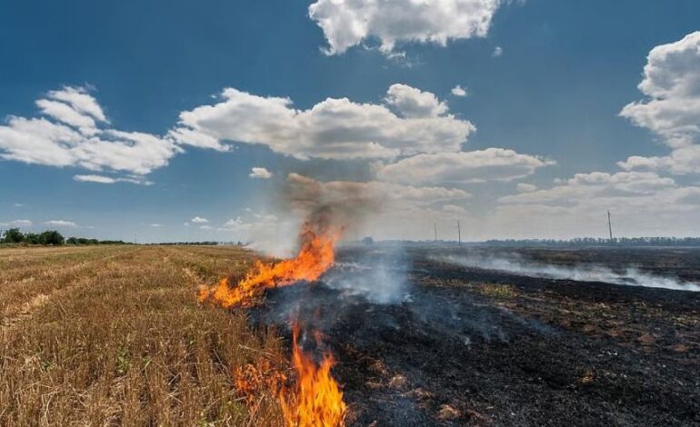 ਕੇਂਦਰ ਸਰਕਾਰ ਨੇ ਕੀਤੀ ਮਾਨ ਸਰਕਾਰ ਦੀ ਪ੍ਰਸ਼ੰਸਾ , ਜਿਸ ਵਿੱਚ ਪੰਜਾਬ ਸਰਕਾਰ ਦੀ ਸਫਲਤਾ ਨੂੰ ਕੀਤਾ ਉਜਾਗਰ , ਜਿਸ ਵਿੱਚ ਕਿਸਾਨਾਂ ਦੇ ਸਹਿਯੋਗ ਨਾਲ ਪਰਾਲੀ ਸਾੜਨ ਵਿੱਚ 85% ਦੀ ਇਤਿਹਾਸਕ ਕਮੀ ਆਈ ।