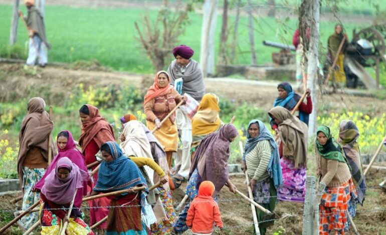 ਮਨਰੇਗਾ ਵਿੱਚ ਹੋਇਆ ਵੱਡਾ ਬਦਲਾਅ: ਹੁਣ ਘਰ ਬੈਠੇ ਕੰਮ ਕਰਨ ‘ਤੇ ਵੀ ਮਿਲੇਗੀ ਪੂਰੀ ਮਜ਼ਦੂਰੀ , ਮੁੱਖ ਮੰਤਰੀ ਮਾਨ ਨੇ ਖੋਲ੍ਹਿਆ ਖਜ਼ਾਨਾ