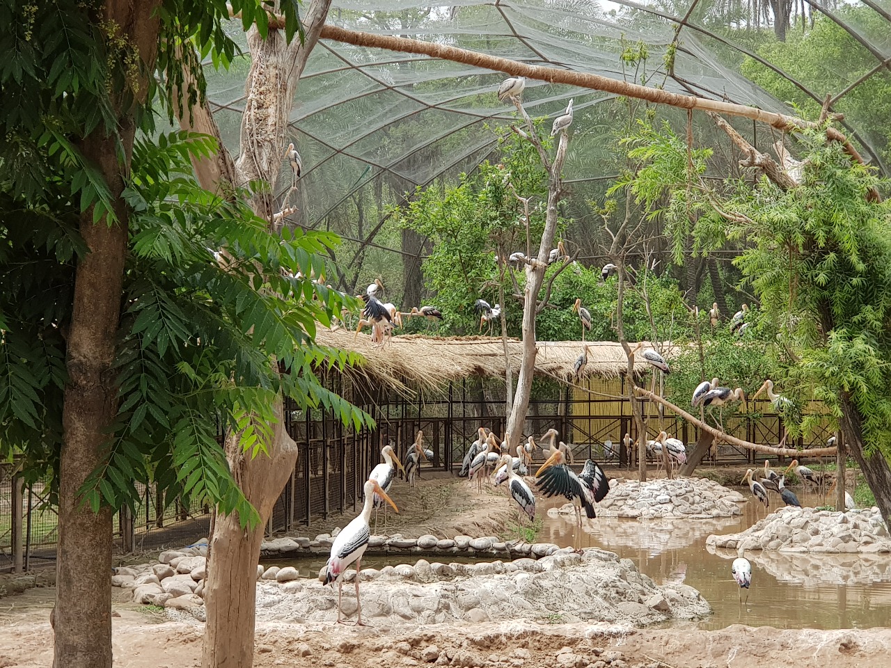 ਜੰਗਲੀ ਜੀਵਾਂ ਦੀ ਸੁਰੱਖਿਆ ਸਬੰਧੀ ਭਗਵੰਤ ਸਿੰਘ ਮਾਨ ਸਰਕਾਰ ਦੀਆਂ ਪਹਿਲਕਦਮੀਆਂ ਸਦਕਾ 2 ਮਹੀਨਿਆਂ ਵਿੱਚ 80,508 ਸੈਲਾਨੀਆਂ ਦੀ ਹੋਈ ਆਮਦ: ਲਾਲ ਚੰਦ ਕਟਾਰੂਚੱਕ