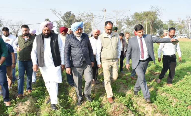 ਸ੍ਰੀ ਗੁਰੂ ਰਵੀਦਾਸ ਬਾਣੀ ਅਧਿਐਨ ਕੇਂਦਰ ਲਈ ਪੰਜਾਬ ਸਰਕਾਰ ਨੇ 10.50ਏਕੜ ਜ਼ਮੀਨ ਦਾ ਕਬਜ਼ਾ ਲਿਆ: ਹਰਪਾਲ ਸਿੰਘ ਚੀਮਾ