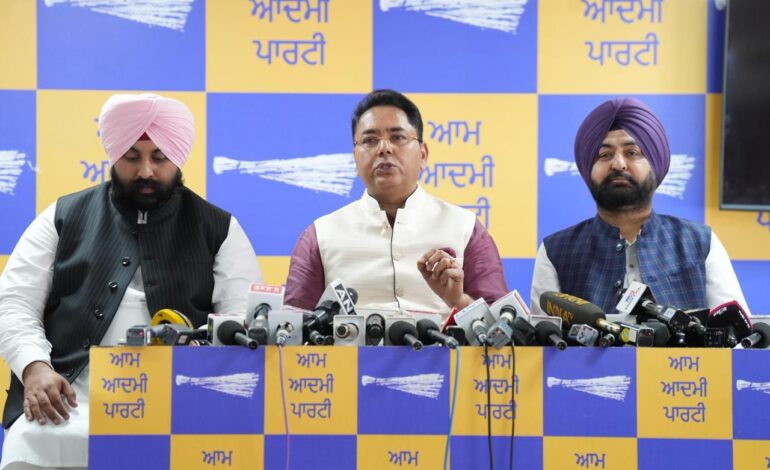 ਸੱਚ ਦੀ ਜਿੱਤ ਹੋਈ: ਭਾਜਪਾ ਨੂੰ ਅਰਵਿੰਦ ਕੇਜਰੀਵਾਲ ਵਿਰੁੱਧ ਸਾਜ਼ਿਸ਼ ਲਈ ਦੇਸ਼ ਤੋਂ ਮਾਫੀ ਮੰਗਣੀ ਚਾਹੀਦੀ ਹੈ: ਅਮਨ ਅਰੋੜਾ