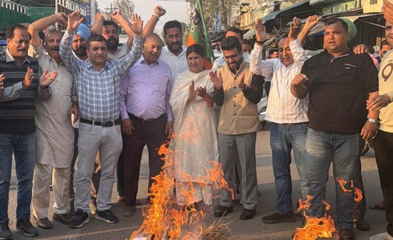 ਭਾਜਪਾ ਨੇ ਆਮ ਆਦਮੀ ਪਾਰਟੀ ਦਾ ਪੁਤਲਾ ਸਾੜਿਆ