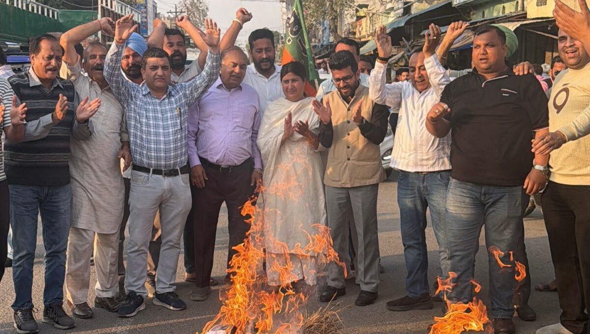 ਭਾਜਪਾ ਨੇ ਆਮ ਆਦਮੀ ਪਾਰਟੀ ਦਾ ਪੁਤਲਾ ਸਾੜਿਆ