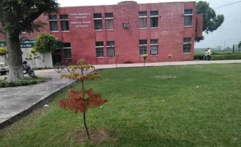 ਖੇਤੀਬਾੜੀ ਯੂਨੀਵਰਸਿਟੀ ਦੇ ਰਿਜ਼ਨਲ ਸਟੇਸ਼ਨ ਗੁਰਦਾਸਪੁਰ ਵਿਖੇ 27 ਮਾਰਚ ਲੱਗੇਗਾ ਕਿਸਾਨ ਮੇਲਾ