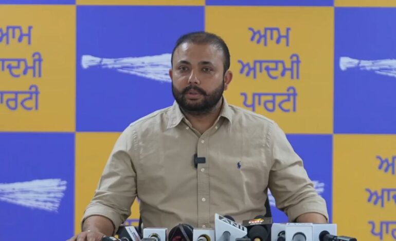 ਆਪ ਯੂਥ ਵਿੰਗ ‘ਸ਼ਾਨਦਾਰ 4 ਸਾਲ, ਭਗਵੰਤ ਮਾਨ ਦੇ ਨਾਲ’ ਮੁਹਿੰਮ ਨੂੰ ਹਰ ਪਿੰਡ ਅਤੇ ਵਾਰਡ ਤੱਕ ਲੈ ਕੇ ਜਾਵੇਗਾ: ਪਰਮਿੰਦਰ ਗੋਲਡੀ