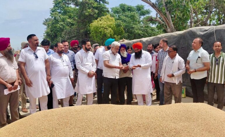 ਪੰਜਾਬ ਦੀਆਂ ਮੰਡੀਆਂ ‘ਚ 28 ਲੱਖ ਮੀਟਰਿਕ ਟਨ ਕਣਕ ਦੀ ਆਮਦ, 24 ਲੱਖ ਮੀਟਰਿਕ ਟਨ ਤੋਂ ਵੱਧ ਦੀ ਖ਼ਰੀਦ : ਲਾਲ ਚੰਦ ਕਟਾਰੂਚੱਕ
