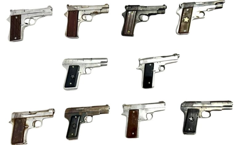 ਹਥਿਆਰ ਤਸਕਰੀ ਮਾਡਿਊਲ ਨਾਲ ਸਬੰਧਤ ਬਿਹਾਰ-ਅਧਾਰਤ ਹਥਿਆਰ ਸਪਲਾਇਰ ਸਮੇਤ ਚਾਰ ਦੋਸ਼ੀ ਕਾਬੂ ,10 ਸੈਲਫ਼-ਲੋਡਿੰਗ ਹਥਿਆਰ ਬਰਾਮਦ