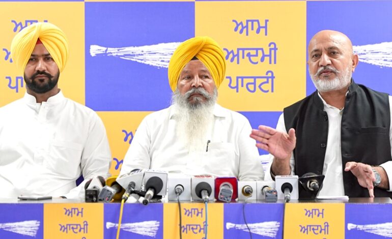 ਮੰਡੀਆਂ ਵਿੱਚ ਕਣਕ ਦੀ ਫ਼ਸਲ ਦੀ ਸਰਕਾਰੀ ਖ਼ਰੀਦ ਸ਼ੁਰੂ, ਕਿਸਾਨਾਂ ਨੂੰ ਮਿਲੇਗੀ ਹਰ ਸੰਭਵ ਸਹਾਇਤਾ ਅਤੇ ਸਹੂਲਤਾਂ: ਆਪ