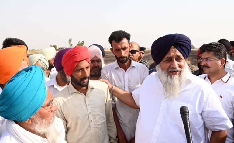 ਸੁਖਬੀਰ ਸਿੰਘ ਬਾਦਲ ਨੇ ਮਲੋਟ ਮੰਡੀ ਦਾ ਕੀਤਾ ਦੌਰਾ, 10 ਦਿਨਾਂ ਤੋਂ ਮੰਡੀਆਂ ’ਚ ਕਿਸਾਨਾਂ ਦੀ ਜਿਣਸ ਦੀ ਖਰੀਦ ਨਾ ਹੋਣ ’ਤੇ ਜਤਾਈ ਚਿੰਤਾ