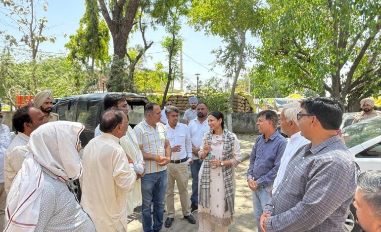 ਡਿਪਟੀ ਕਮਿਸ਼ਨਰ ਕੋਮਲ ਮਿੱਤਲ ਵੱਲੋਂ ਟਿਵਾਣਾ ਅਤੇ ਲਾਲੜੂ ਮੰਡੀਆਂ ਦਾ ਦੌਰਾ, ਕਣਕ ਦੇ ਖਰੀਦ ਕਾਰਜਾਂ ਦਾ ਲਿਆ ਜਾਇਜ਼ਾ