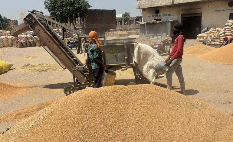 ਜ਼ਿਲ੍ਹੇ ਦੀਆਂ ਮੰਡੀਆਂ ਵਿੱਚ ਕਣਕ 218723 ਮੀਟਰਕ ਟਨ ਦੀ ਖਰੀਦ ਹੋਈ- ਕਿਸਾਨਾਂ ਦੇ ਖਾਤਿਆਂ ਵਿੱਚ 391 ਕਰੋੜ ਦੀ ਕੀਤੀ ਅਦਾਇਗੀ