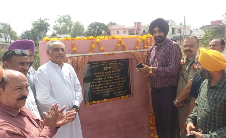 ਆਪ ਸਰਕਾਰ ਦਾ ਵੱਡਾ ਤੋਹਫ਼ਾ- ਗੁਰਦਾਸਪੁਰ ਨੂੰ ਮਿਲੇਗੀ ਬਿਹਤਰ ਬਿਜਲੀ ਸਪਲਾਈ