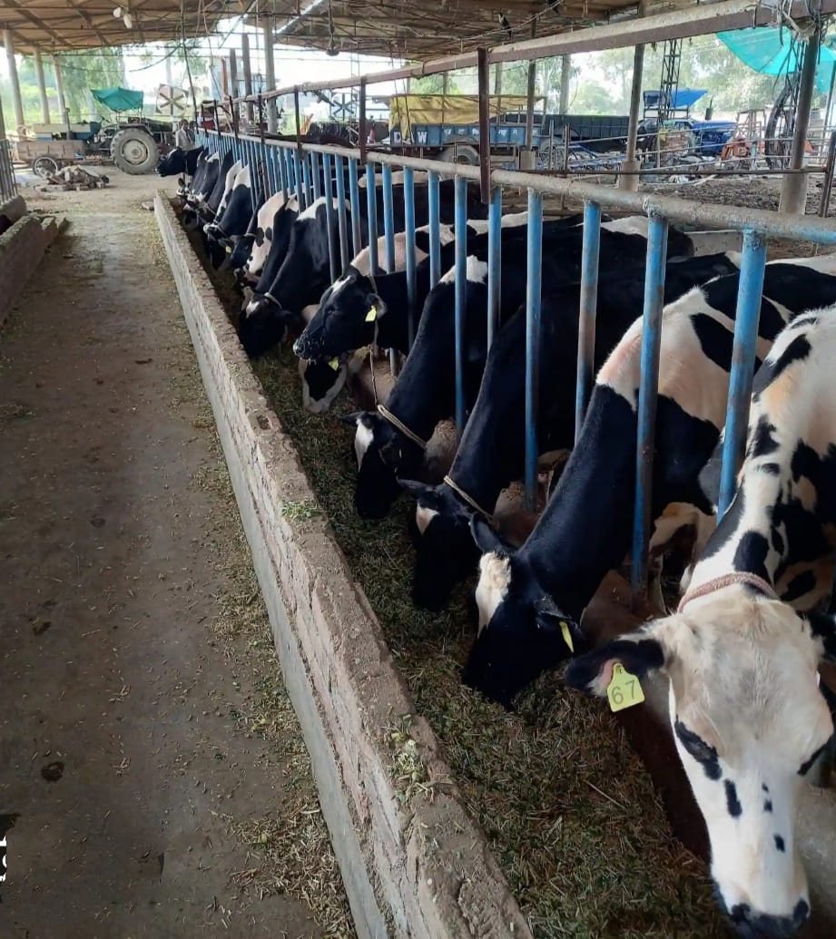 ਡੇਅਰੀ ਉੱਦਮ ਸਿਖਲਾਈ ਕੋਰਸ 4 ਮਈ ਤੋਂ, 30 ਅਪ੍ਰੈਲ ਤੱਕ ਕਰੋ ਰਜਿਸਟ੍ਰੇਸ਼ਨ