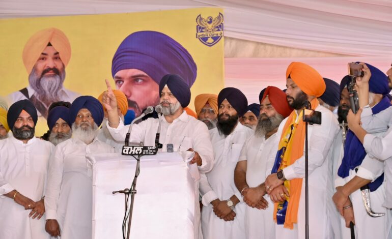 ਪੰਥਕ ਕਾਨਫਰੰਸ ਦੇ ਨਾਮ ਰਿਹਾ ਛਪਾਰ ਮੇਲਾ