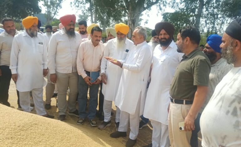ਰਮਨ ਬਹਿਲ ਨੇ ਦਾਣਾ ਮੰਡੀ ਜੌੜਾਂ ਛੱਤੜਾਂ ਵਿਖੇ ਝੋਨੇ ਦੀ ਖਰੀਦ ਸ਼ੁਰੂ ਕਰਵਾਈ
