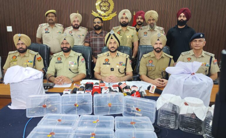 ਅੰਮ੍ਰਿਤਸਰ ਵਿੱਚ ਫ਼ੌਜੀ ਜਵਾਨ ਸਮੇਤ ਸੱਤ ਗ੍ਰਿਫ਼ਤਾਰ, 14 ਪਿਸਤੌਲਾਂ ਅਤੇ 20 ਕਿਲੋ ਹੈਰੋਇਨ ਬਰਾਮਦ